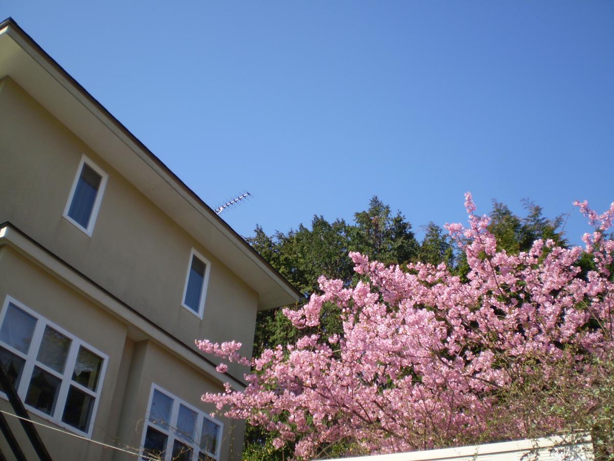 Hanaikada Ito (Shizuoka) Exterior photo
