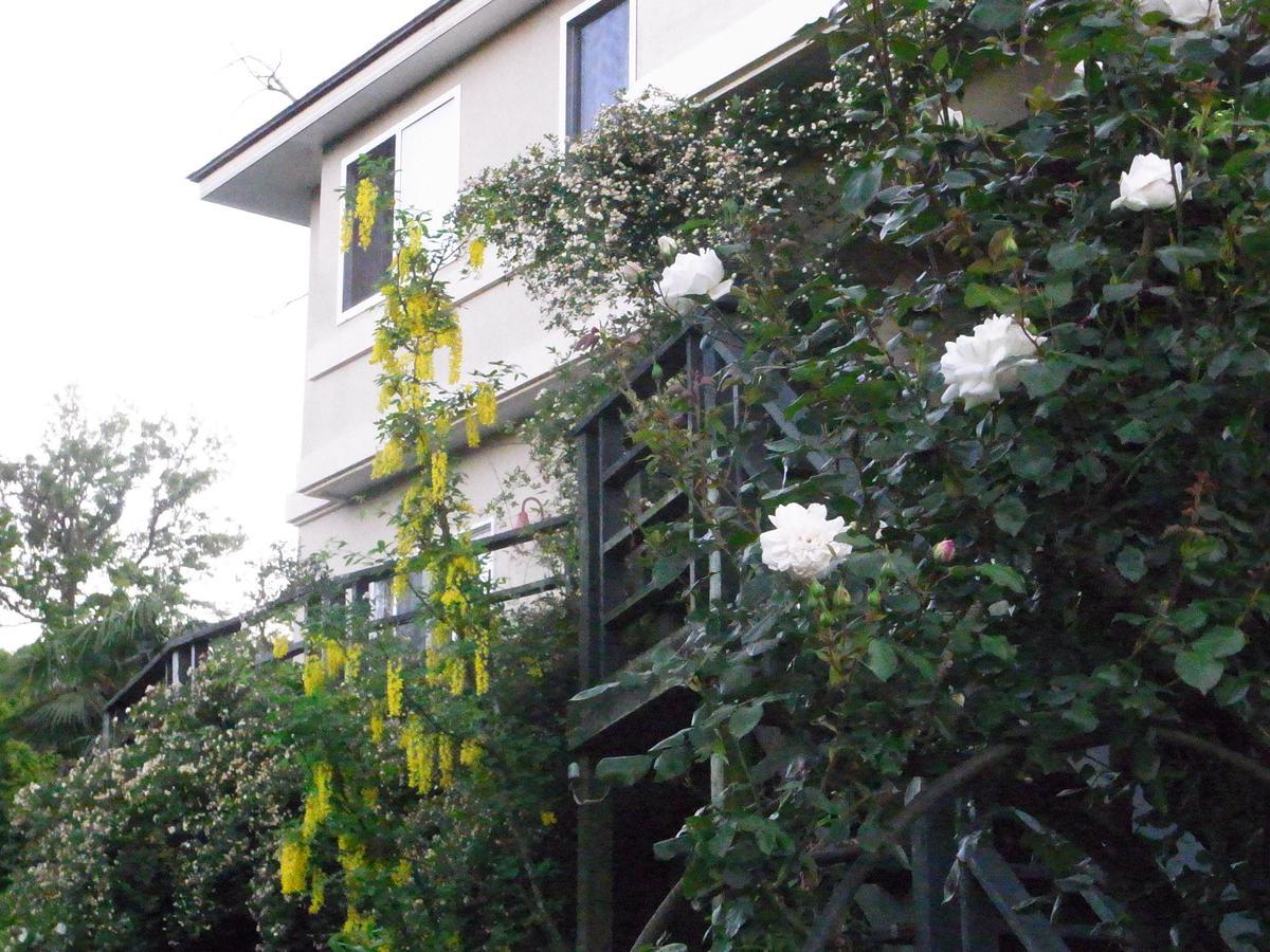 Hanaikada Ito (Shizuoka) Exterior photo